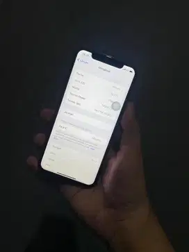 iphone x 256 gb