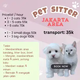 cat sitter / dog sitter hourly