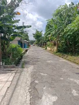 Tanah pekarangan timur PLN jalan kaliurang yogyakarta
