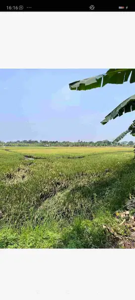 Tanah Lingkar Timur Sidoarjo GEBANG