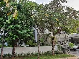 Disewakan Rumah 5 KT Siap Huni Di Sektor 7 Bintaro Gb16827