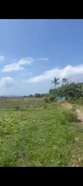 Tanah Dijual Di Gianyar Bali Land For Sale