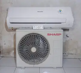 Ac sharp 1/2 pk