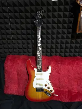 Hamilton Stevie Ray Vaughan