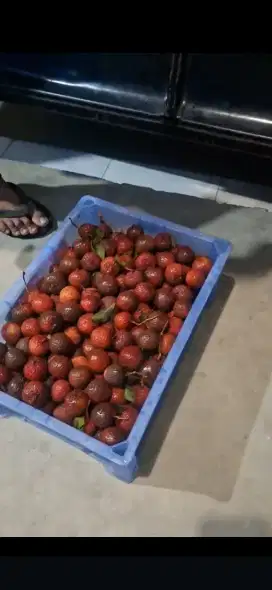 Promo leci merah madu cm 160k/krat 5kg
