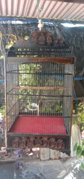 Sangkar burung jati kotak
