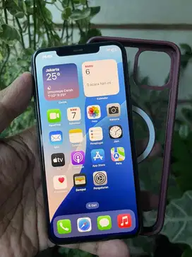 iPhone 11 Pro Max 256Gb Wifi Only