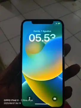 iPhone X 64GB Inter
