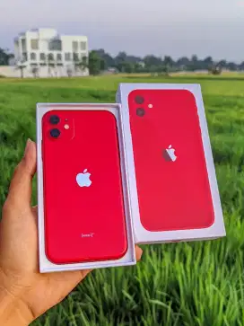 iPhone 11 64 GB inter
