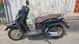scoopy prestige black keyless