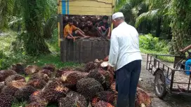 Asap ! Lowongan kerja terbaru butuh cepat