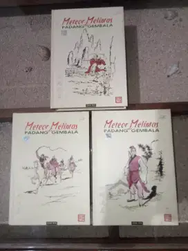 Buku Cerita Silat Meteor Melintas di Padang Gembala