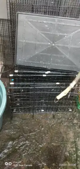 Kandang KucinG 40*50
