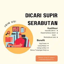 Dicari Supir Serabutan