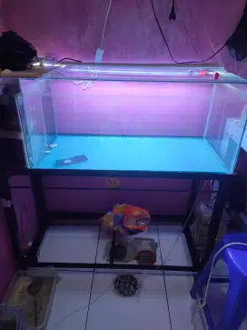 Aquarium 1 set lengkap