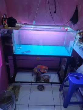 Aquarium 1 set lengkap