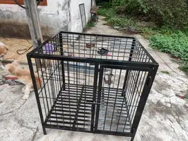 Kandang Anjing baru murah