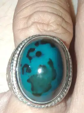 Bacan Doko bebas penyakit dim 20