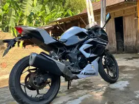 Kawasaki Ninja 250 SL