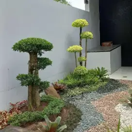 Jasa pembuatan taman minimalis