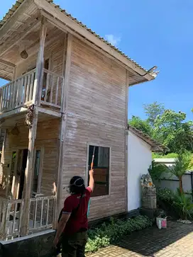 Jasa anti rayap bali - termite control bali