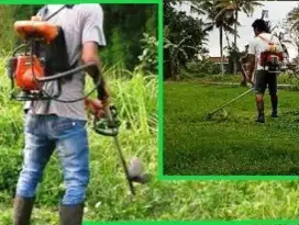 Jasa potong rumput liar