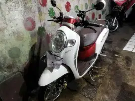 honda scoopy 2019