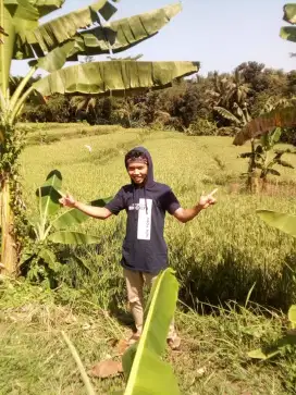 Cari lowongan kerja apa aja