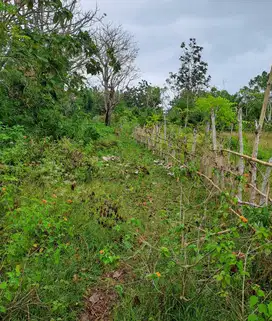 Jual tanah siap bangun area kutuh kuta selatan