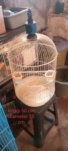 Kandang burung buat love birt/ burung jalak, dan beo,
