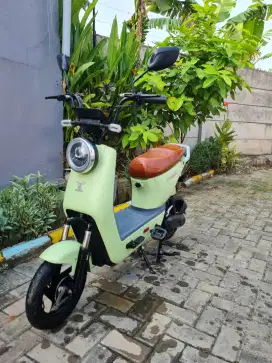 SEPEDA LISTRIK U-WINFLY D8-12
