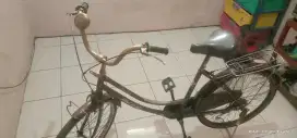Sepeda Mini Dewasa