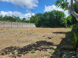 Dijual Tanah Strategis di Ubud, Tegallalang, Gianyar, Bali