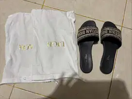 Christian Dior Dway Slide