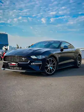 RARE COLOR!!! FORD MUSTANG 2.3 ECO BOOST AT (2022)