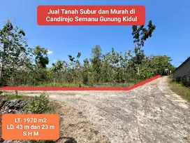 Jual tanah subur murah di candirejo semanu gunung kidul strategis