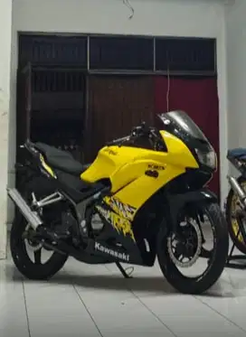 Kawasaki Ninja RR New 2013