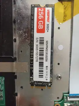 Sss m2 sata visipro 256