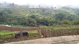 Tanah Luas View Gunung dan Hutan di Bedugul
