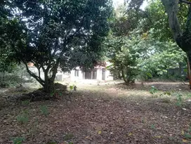 Dijual Tanah Kavling dekat Komplek Puri Sriwedari Cibubur