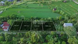 Tanah Kavling Luasan 1 Are di Sambangan Singaraja