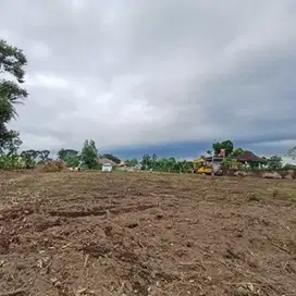 Tanah Terbaik di Kalasan, Akses Mudah, Harga Rendah