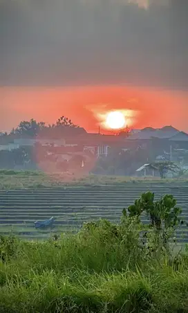 Tanah Subak Canggu Pantai Berawa