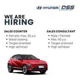 SALES CONSULTANT HYUNDAI