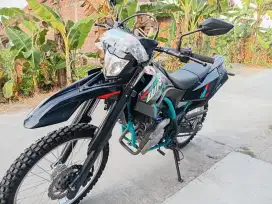 Wr 155 sperti baru
