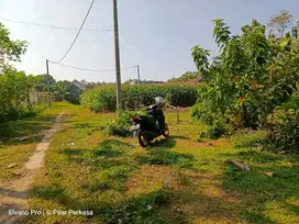 TANAH PEKARANGAN KETAWANG DOLOPO