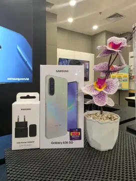 Samsung Galaxy A36 5G Free Adapter Ori