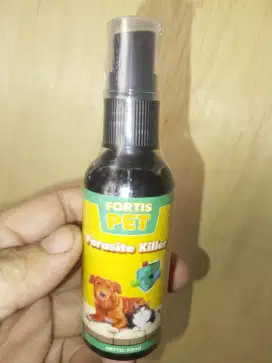 Obat Pembasmi Jamur Pada Kucing dan Anjing