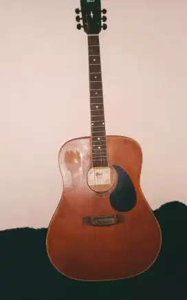 Gitar akustik CORT AD 810