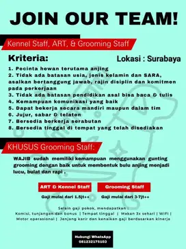 Loker ART, Kennel Staff, Groomer petshop Surabaya